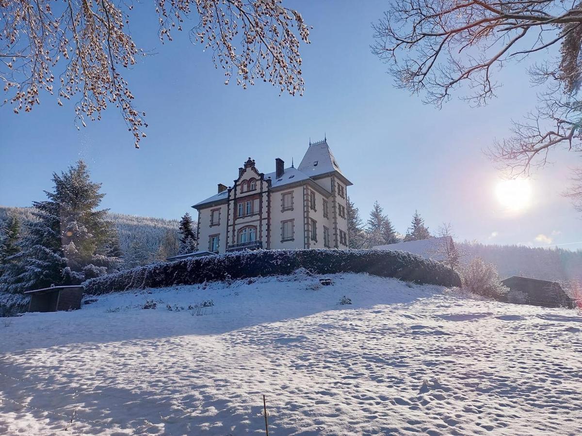 Chateau Robert Raon-l'Etape Luaran gambar